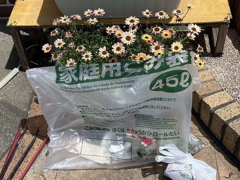 20250606地域清掃尾浜松