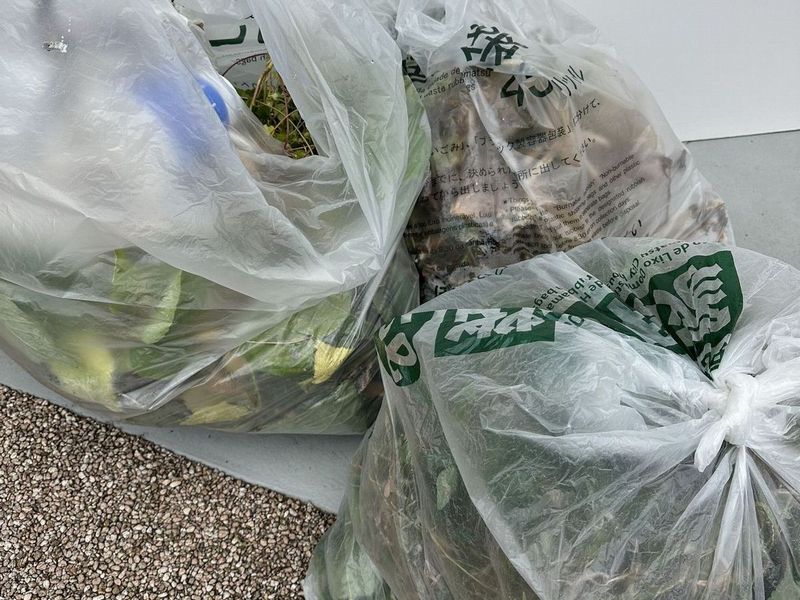 20251010浜松ゴミ拾い