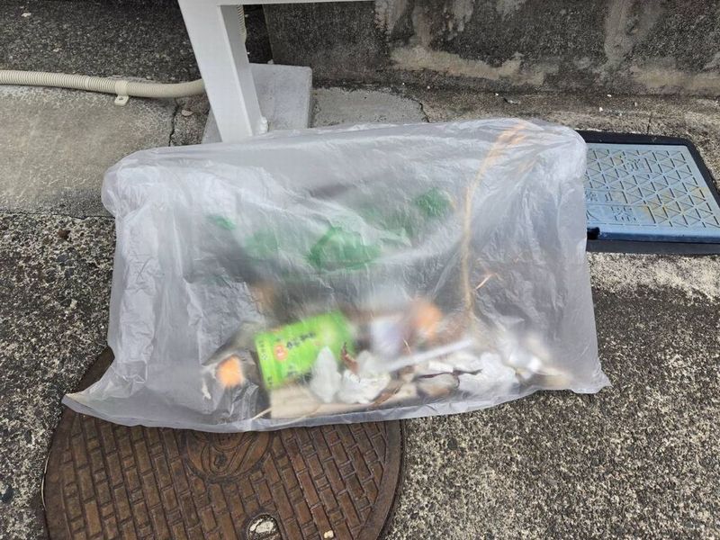 20251010静岡ゴミ拾い