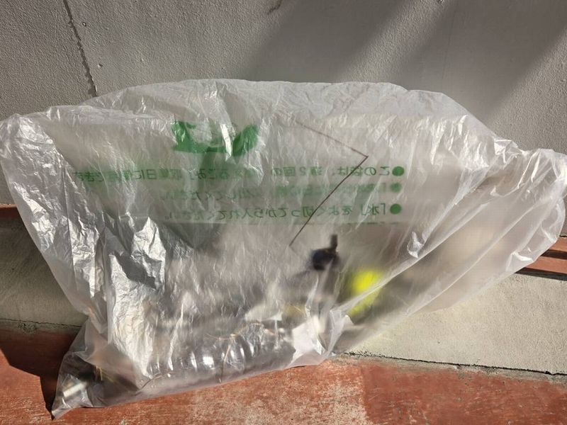 20251219静岡　ゴミ拾い