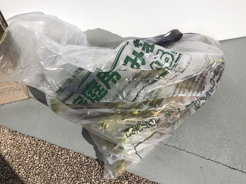 20260123地域貢献浜松ゴミ拾い