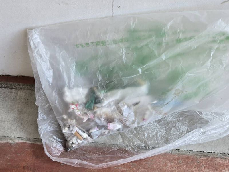 20260123地域貢献静岡ゴミ拾い