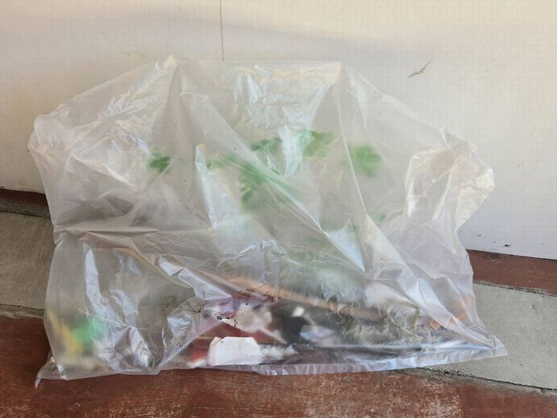 20260109静岡ゴミ拾い